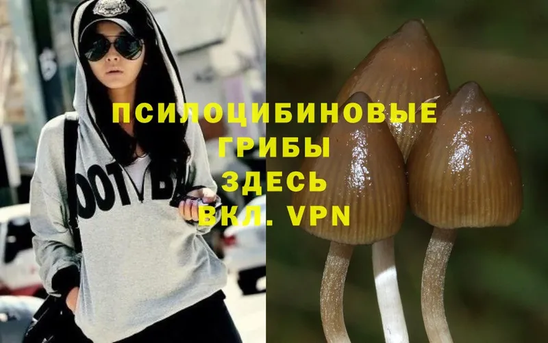 Псилоцибиновые грибы MAGIC MUSHROOMS  Белозерск 